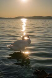 Balatonszemes