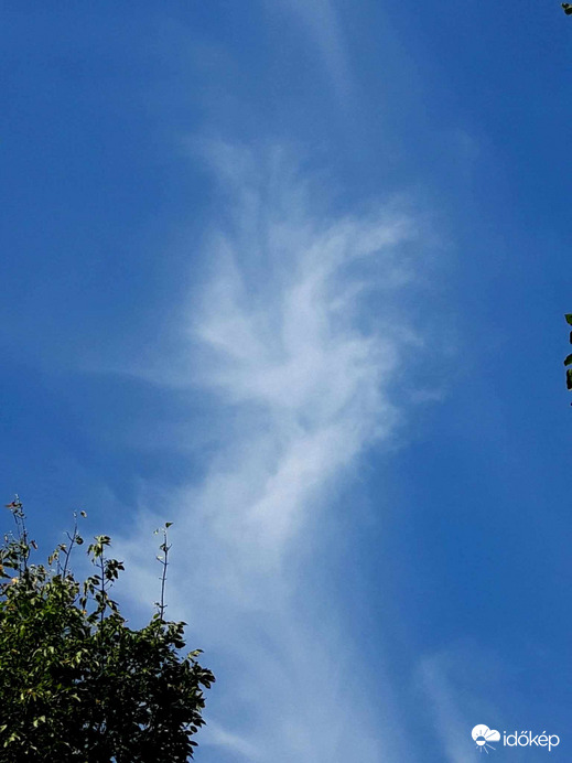 Aminek látod. Angyal.