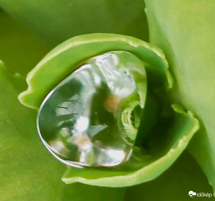 Gyémánt- vízcsepp 