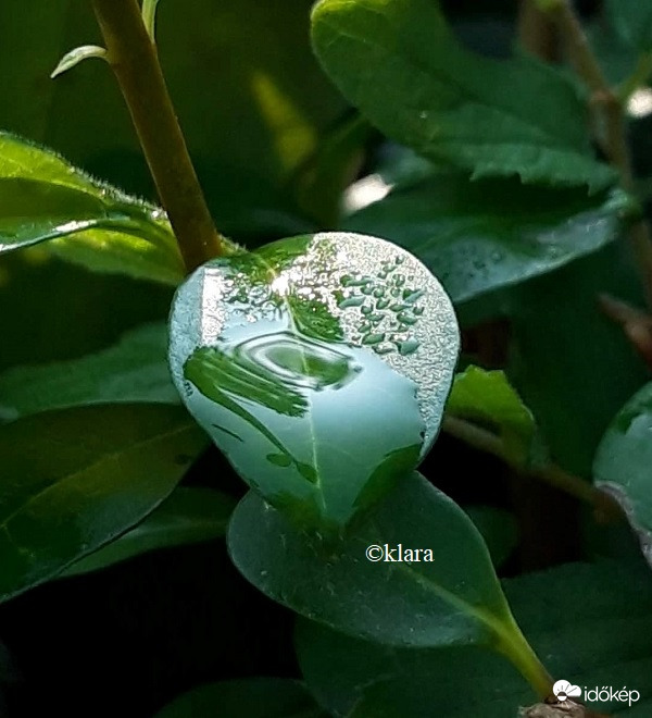 Harmat, víz és egyebek...