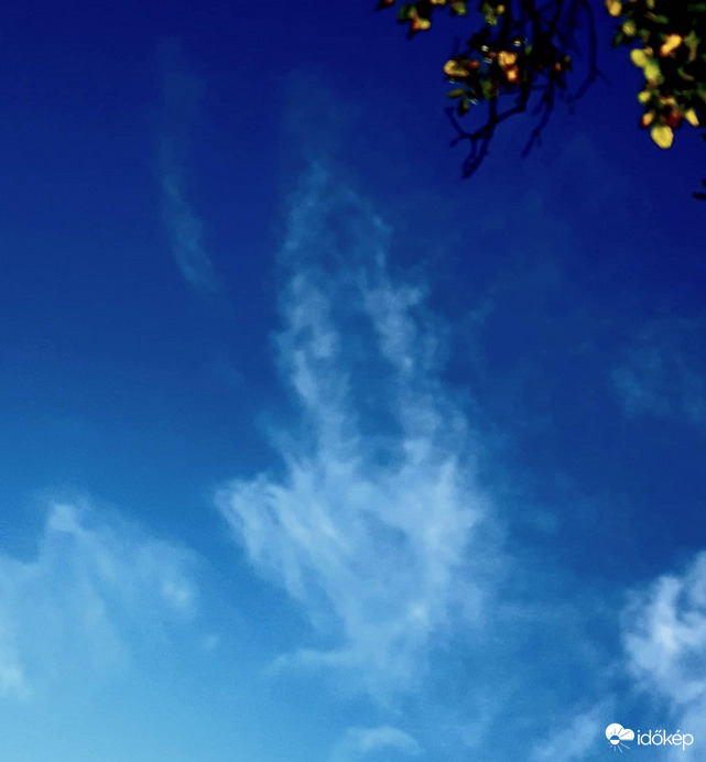 Szimmetria. Véletlenek nincsenek