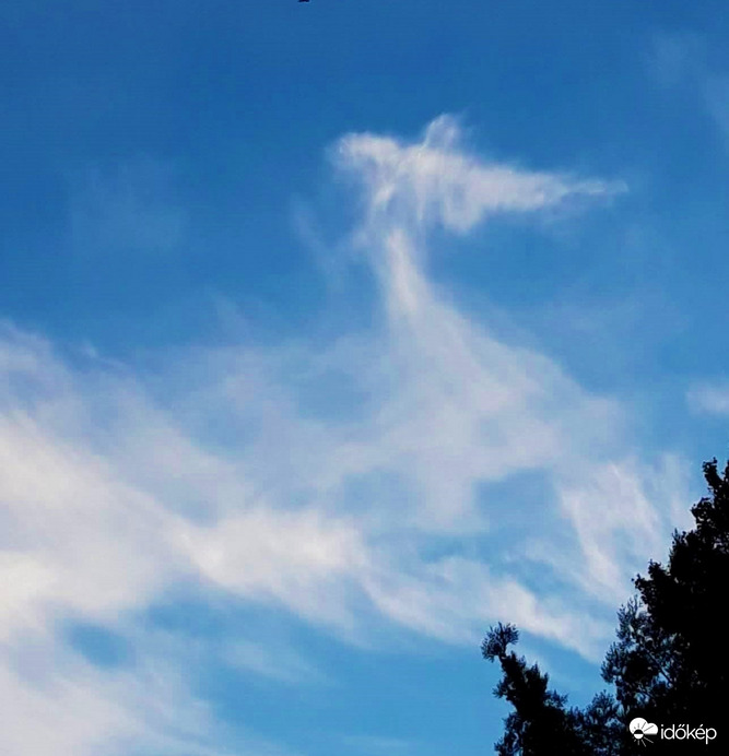 Üzenet fentről névnapom reggelén