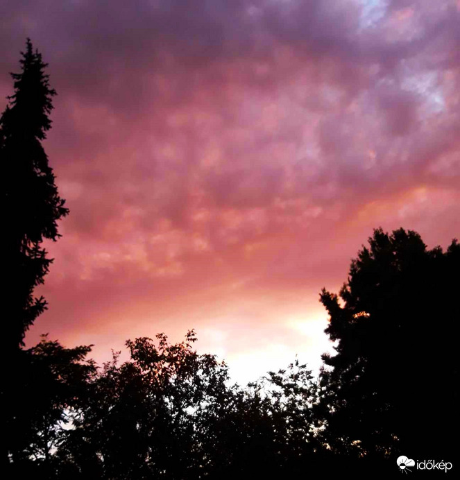 Ablak(omból) a világra 