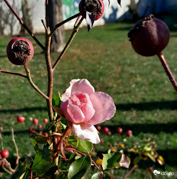 Tél és nyár egyben 