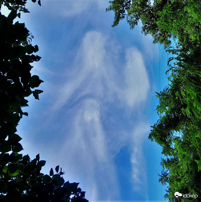 Odafent csöndben zajlik az élet.