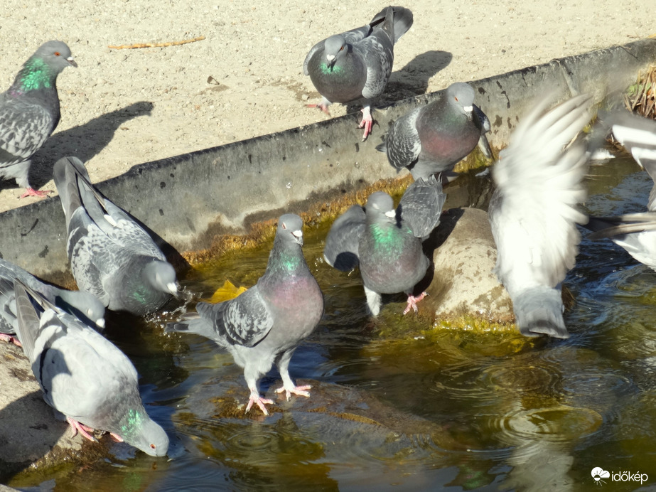 októberi strandfürdő
