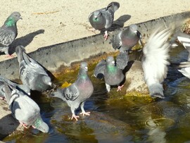 októberi strandfürdő