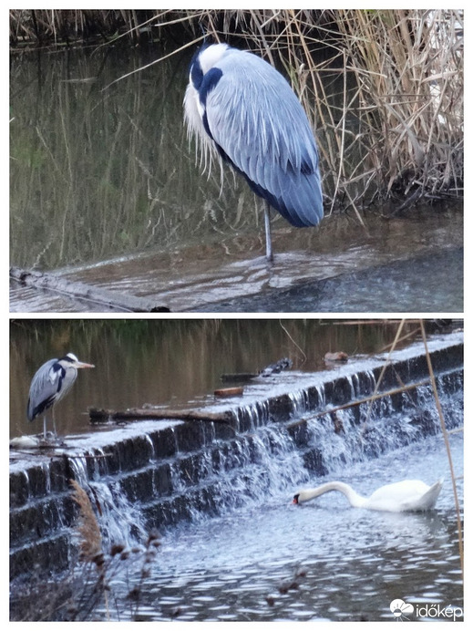 ma sem láttuk a napot