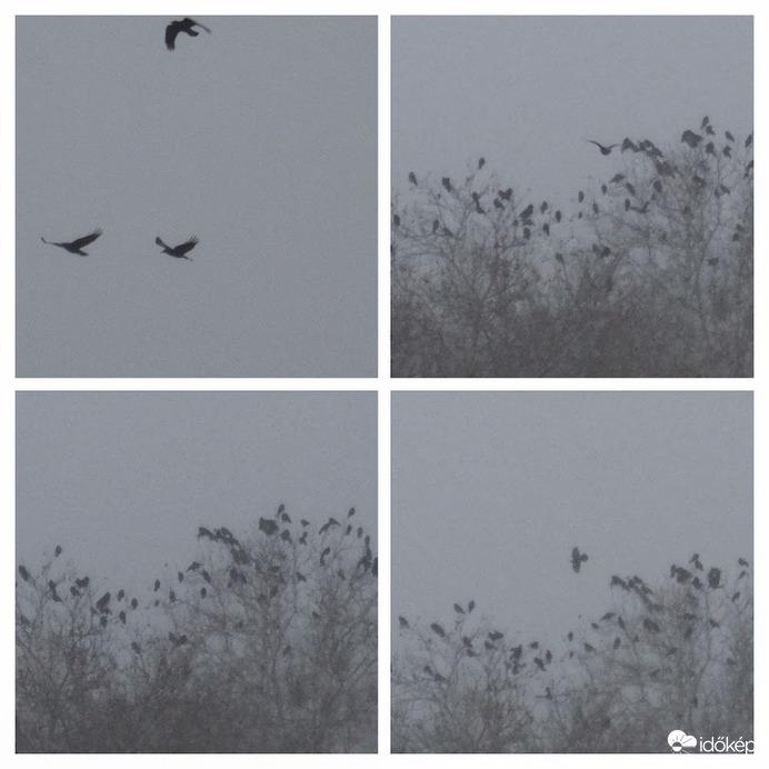 megpihent a ködben vándorló csapat