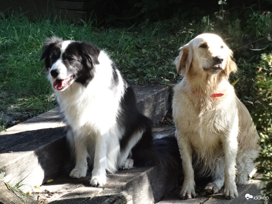 nézz szépen fotóznak