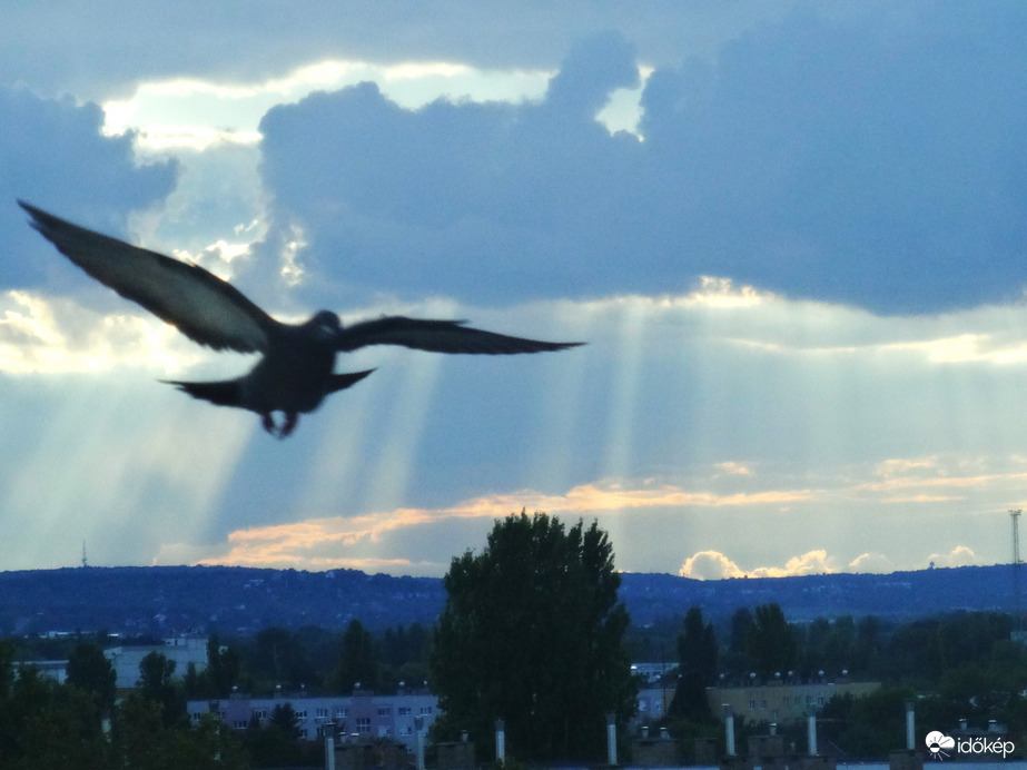 soha jobbkor jöhetett volna