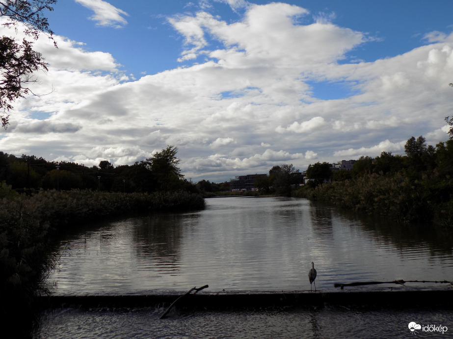 borongós, szeles nap volt 