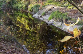 viztükör Kána-patak