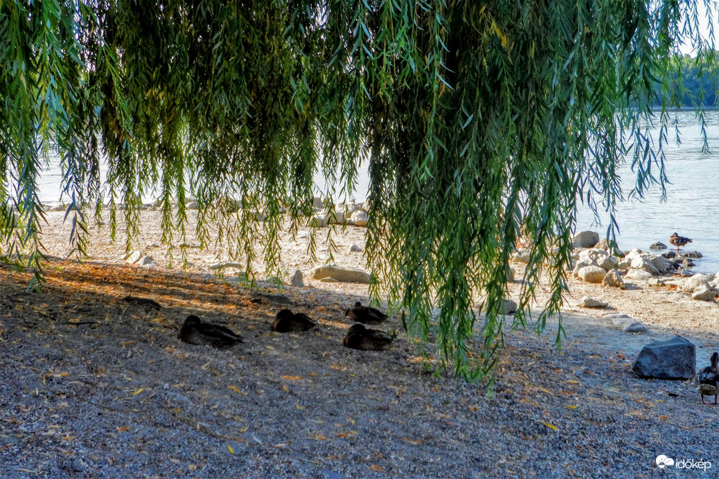 jobb az árnyékban ilyenkor