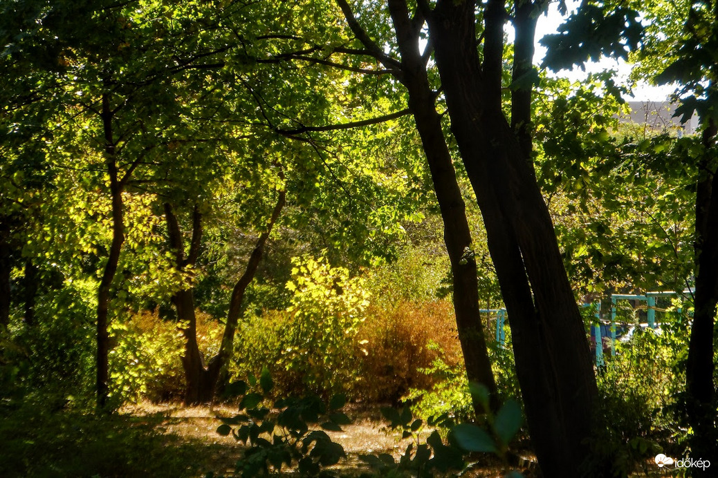 természet illúzió