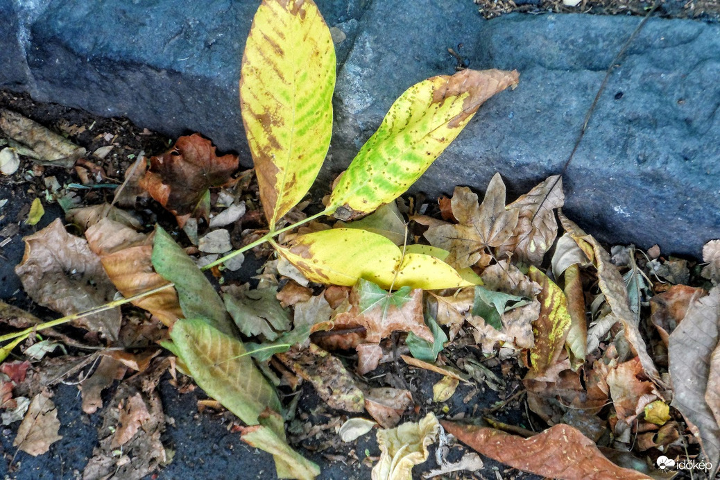 augusztus 18.  2022.