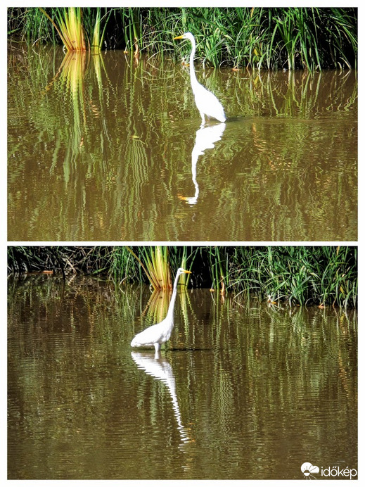 ragyogó idő lett délutánra