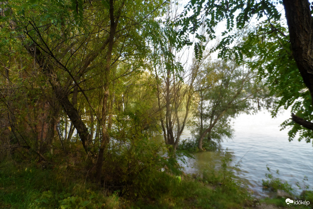 Duna, az ártér víz alatt