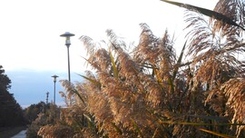 az utolsó sugarakban