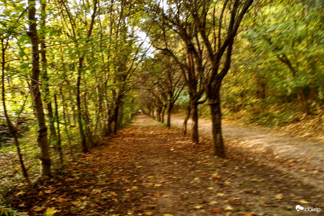 őszi séta