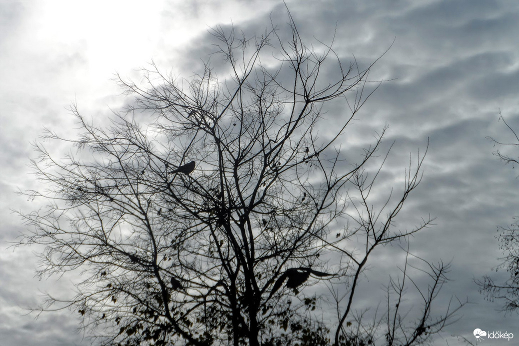 hérvége szürkébem