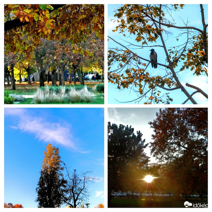 esős után előbújt a régnem látott napocska 