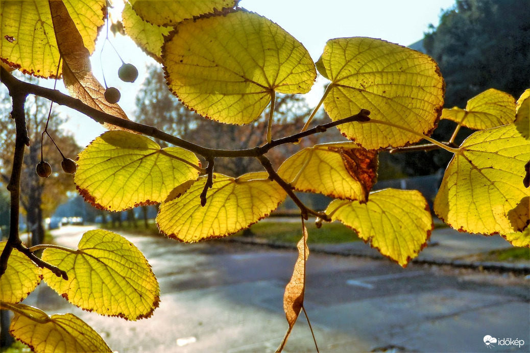 kis időre éltájt előbújt a napocska
