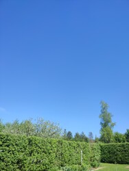 Arló