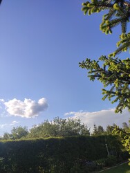 Arló