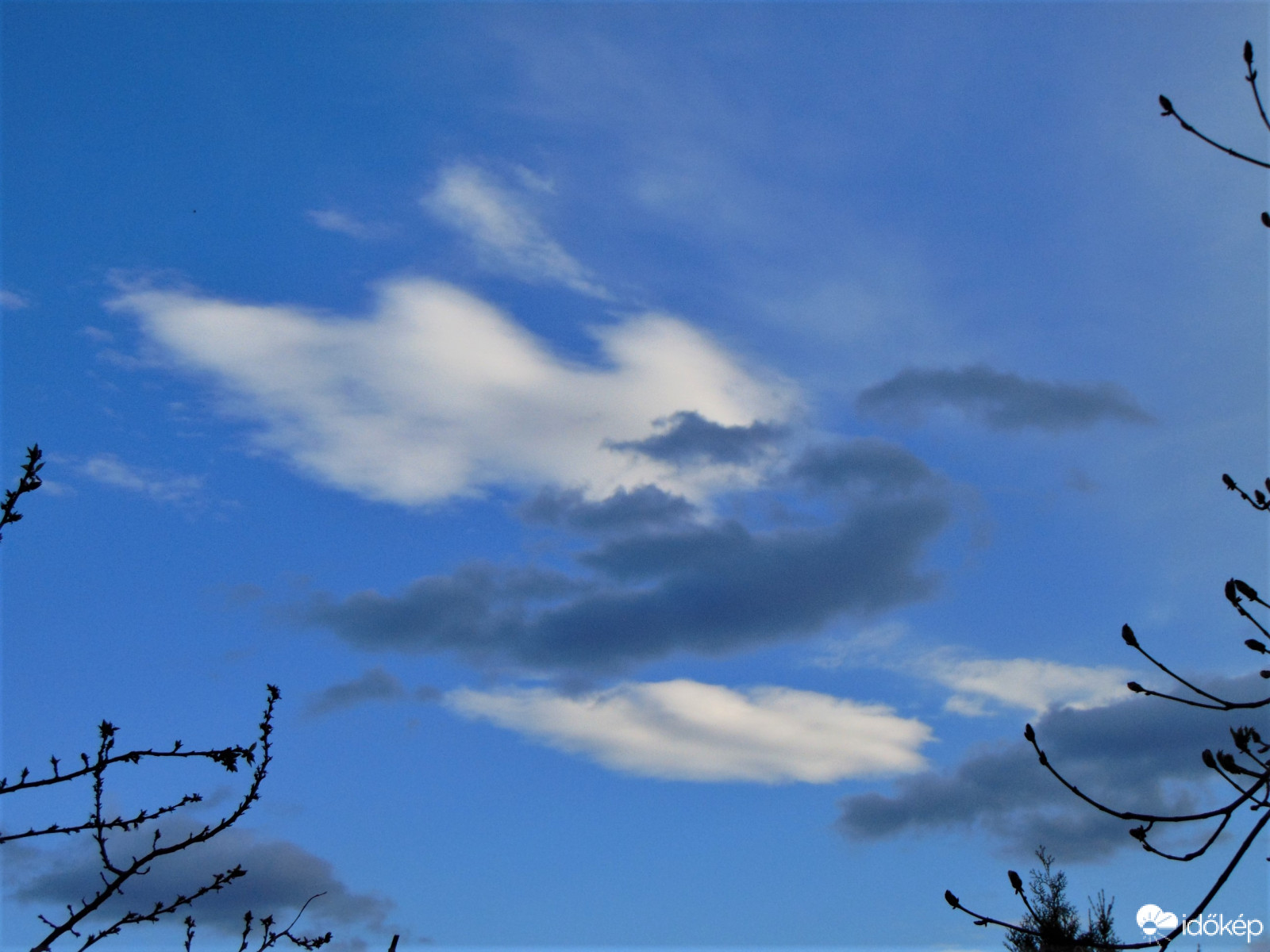 Észlelési fényképek