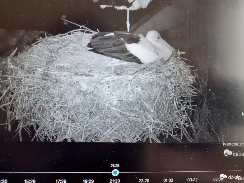 Ivancsán este első tojás