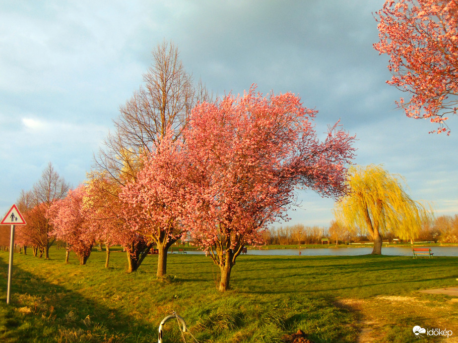 Stettni tó környéke