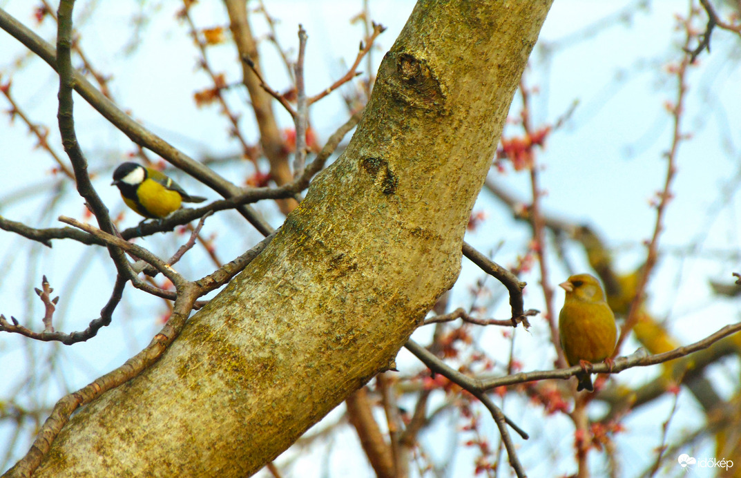Ma sok vendégem volt
