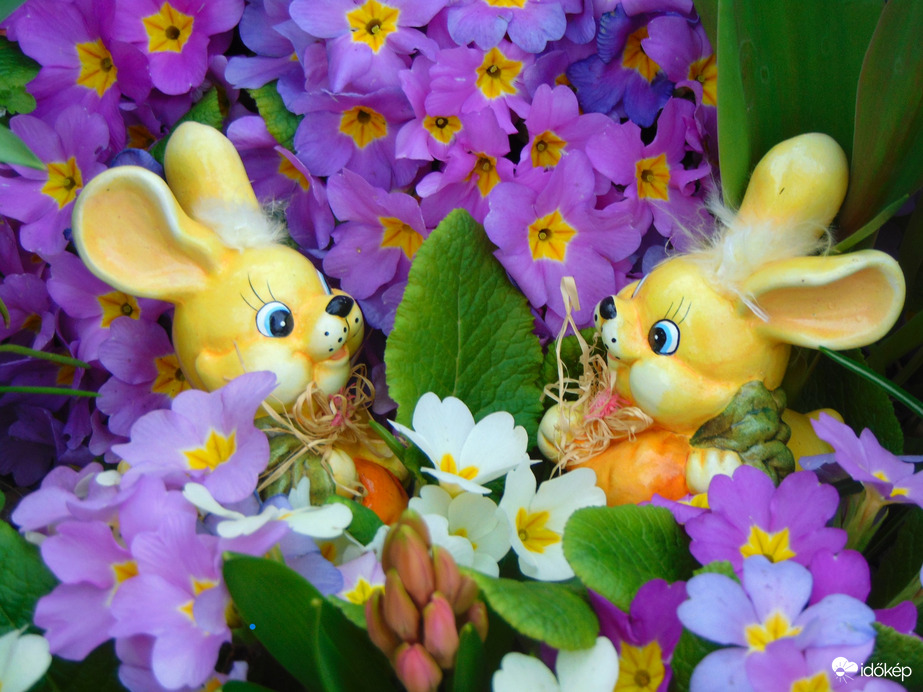 Kellemes Húsvéti Ünnepeket kívánok Mindenkinek