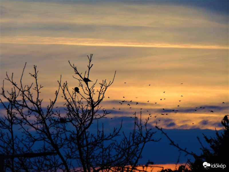 Madarak vonulásával
