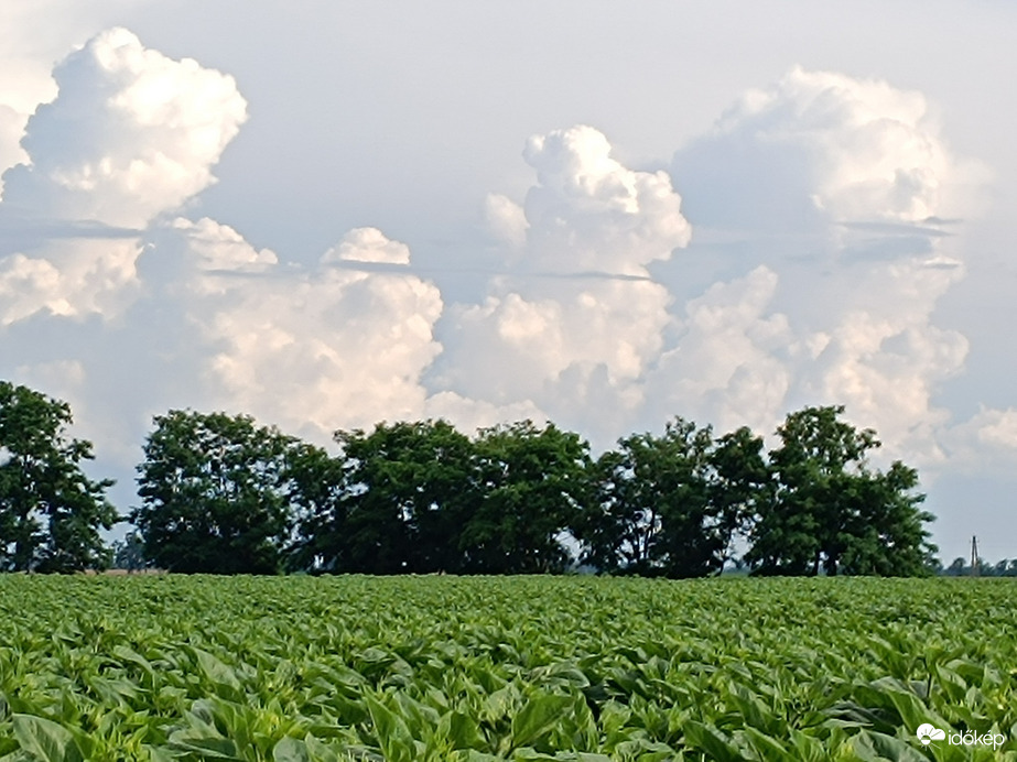 Észlelési fényképek