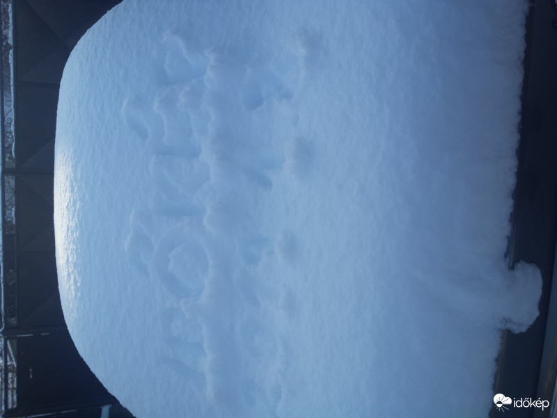 Észlelési fényképek