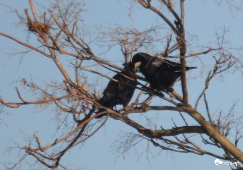 Gyere, mondok valamit 