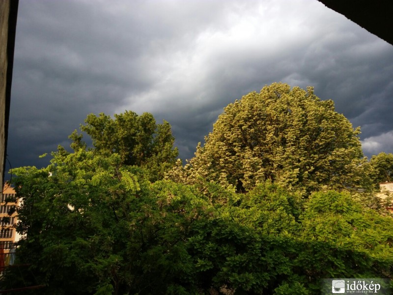 Észlelési fényképek