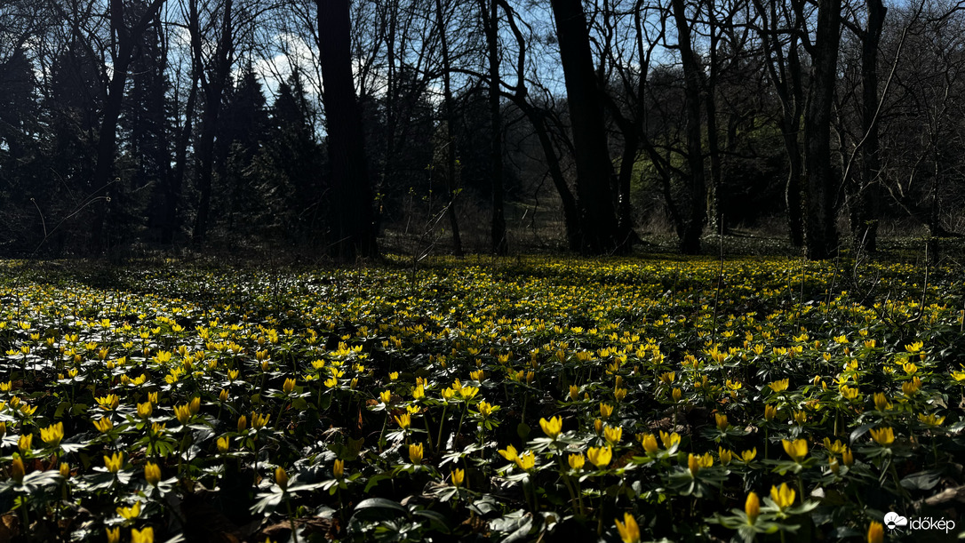 Már érzik a tavaszt…