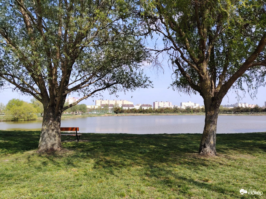 Természet