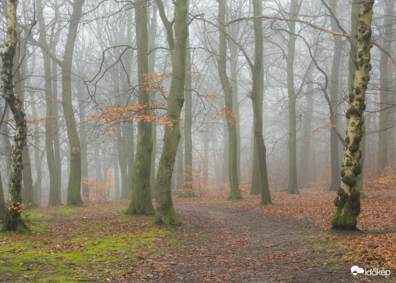 Köd előttem köd mögöttem újból 2.