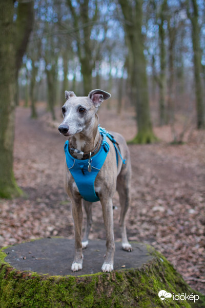 Most is tartottunk pihenőt