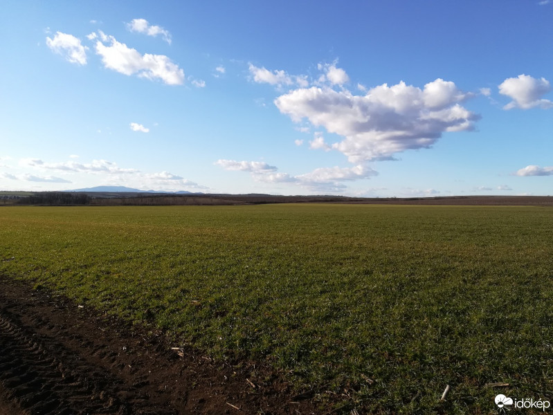 Andornaktálya