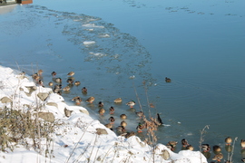 Napozóterasz a jégen