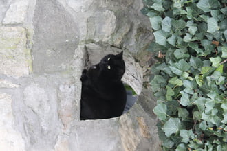 Ez a kedvenc helyem.