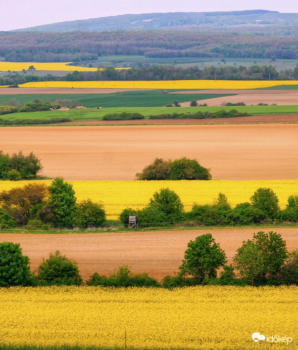 Tájkép