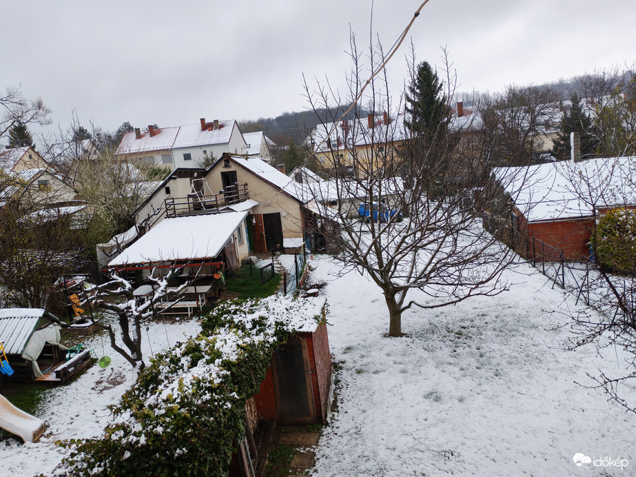 Észlelési fényképek