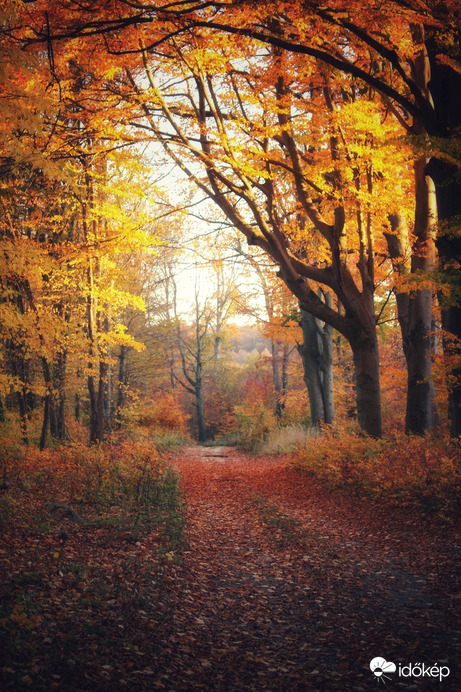 Őszi hangulat 