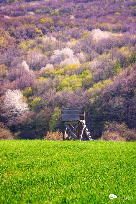 Természet